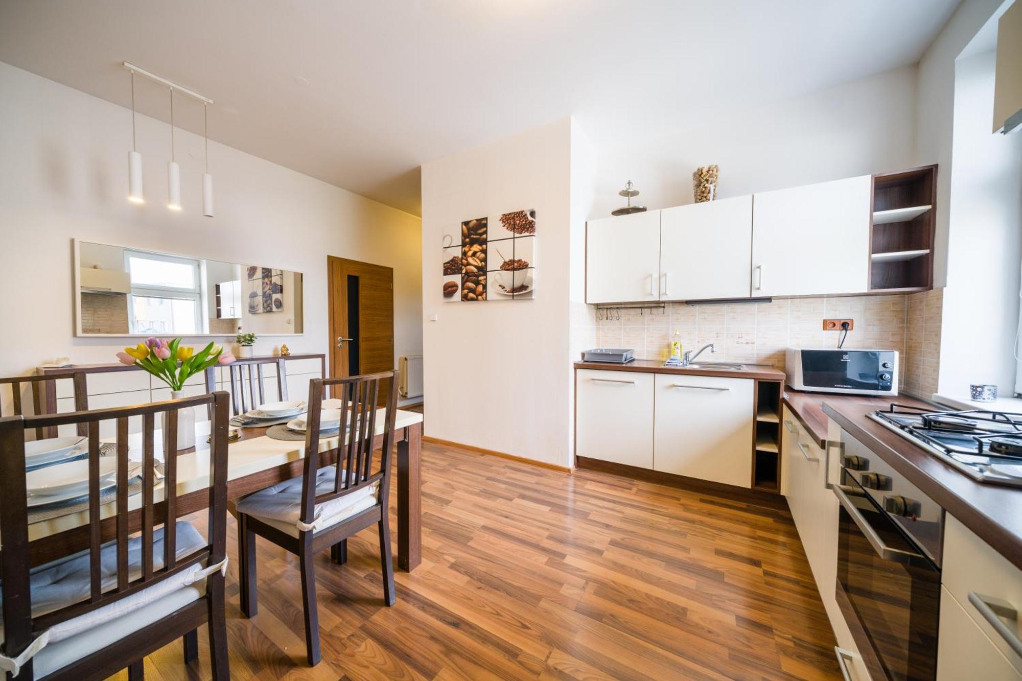Apartia Vlhka, Brno-Center Ngoại thất bức ảnh